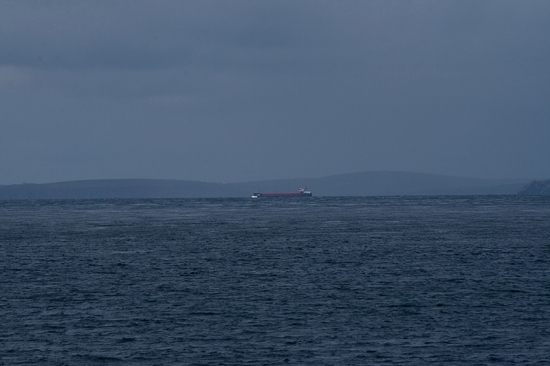 IMG_6780.jpg